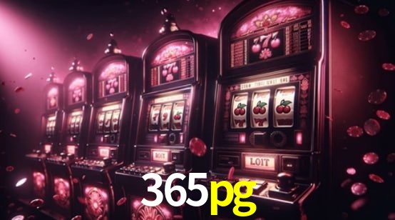 Experiência VIP 365pg